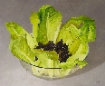 Ensalada