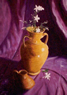 Jazm�n