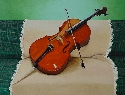 Violonchelo