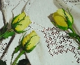 Capullos