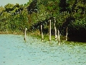 Garzas