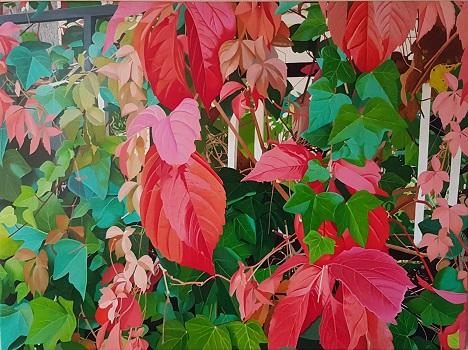 Enredadera