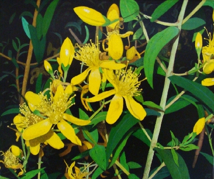 Malfurada