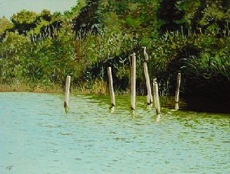 Garzas